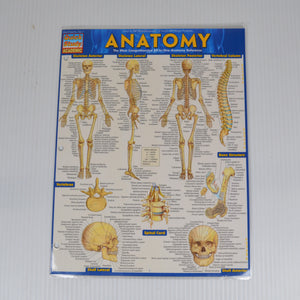 Anatomy Quick Study - All In One Reference by BarCharts