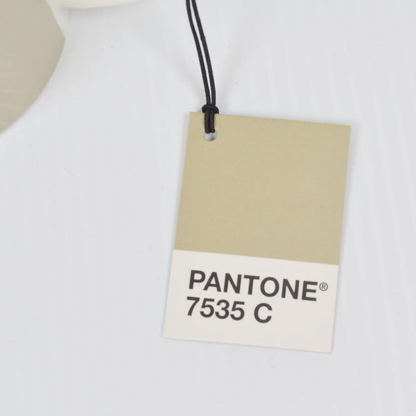 Pantone Coffee Mug - 7535 C - Putty Gray - Platinum - Moon Rock - NEW