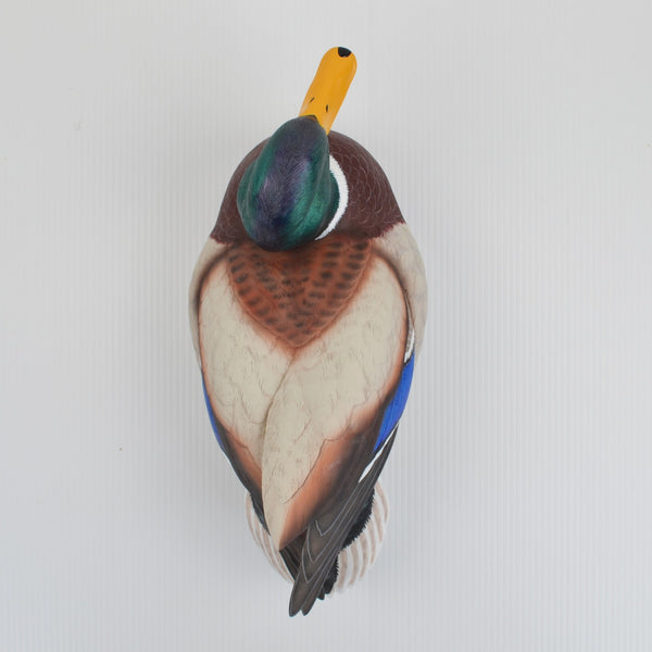 Sam Nottleman Swan Lake Mallord Duck Decoy - Loon Lake by Wild Wings - 5114