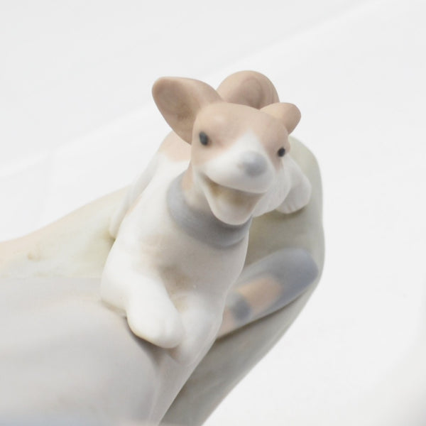 Vintage Lladro Porcelain Girl with Goose & Dog Figurine #4866 Matte Finish