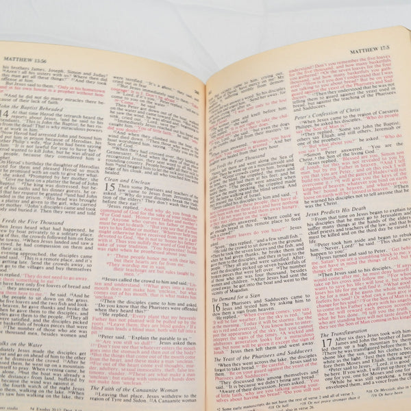 HOLY BIBLE NIV with Helps RED LETTER EDITION Zondervan 1984 Black Cover