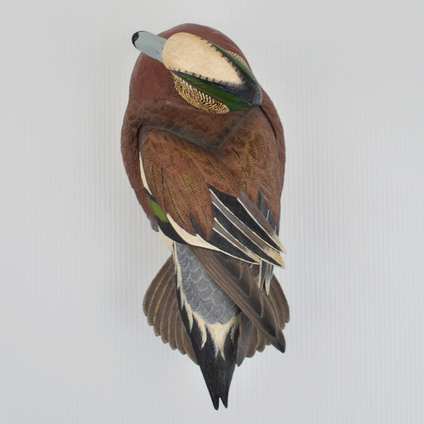 Weaver Bottoms: Weaver Wigeon Duck Decoy - Sam Nottleman Wild Wings - 5055