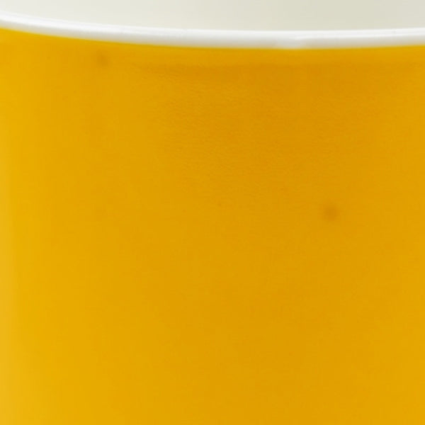 Pantone Coffee Mug - 137 C - Egg Yolk Orange, Sunset, Marmalade - Factory Second