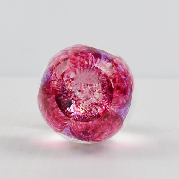 Glass Eye Studio GES '93 Pink Cranberry Dichroic Flower EGG Glass Paperweight
