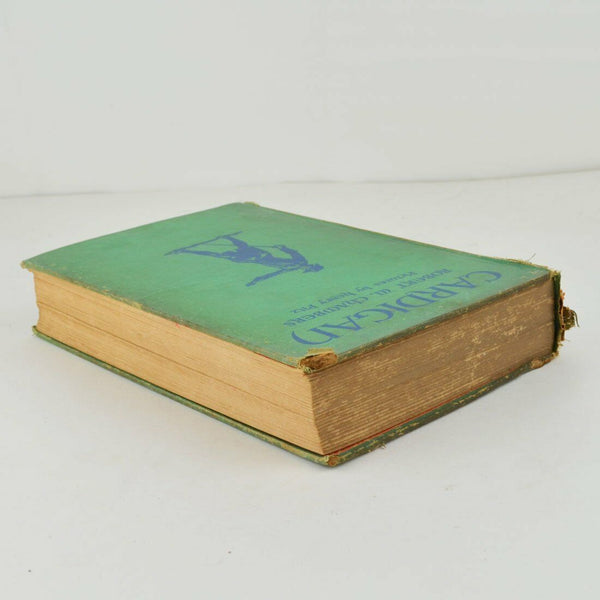 Cardigan by Robert W. Chambers, Pictures by Henry Pitz - 1930