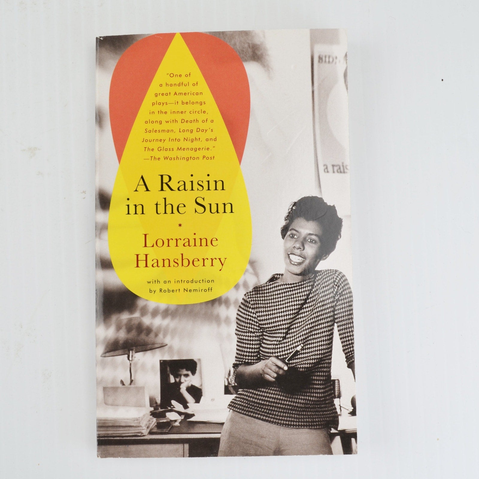 A Raisin In The Sun by Lorraine Hansberry - Play African American Life Chicago