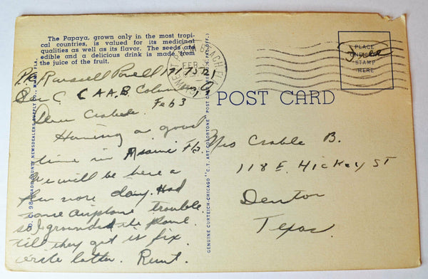 Florida Papaya Plantation - Posted from Palm Beach Military c.1945 Postcard