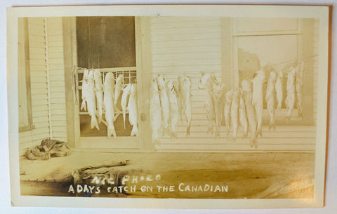 Fishing Canadian River Days Catch String of Fish Photo Postcard RPPC