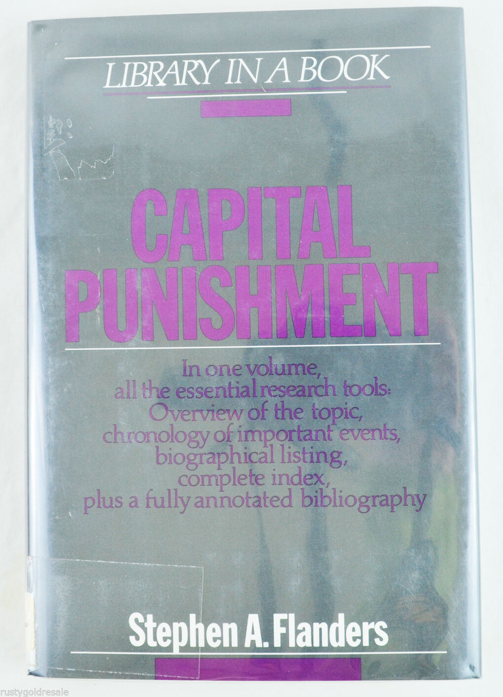 Capital Punishment by Stephen A. Flanders (1991, Hardcover)