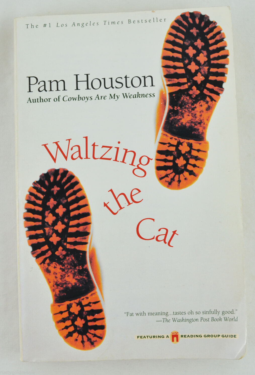 Waltzing the Cat by Pam Houston (1999, Paperback)