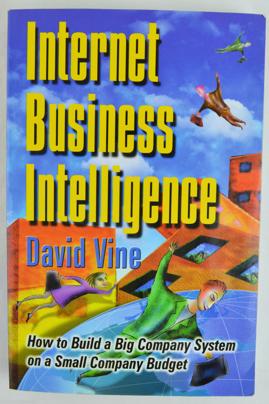 Internet Business Intelligence : How to Build a Big Company System on a Small Co