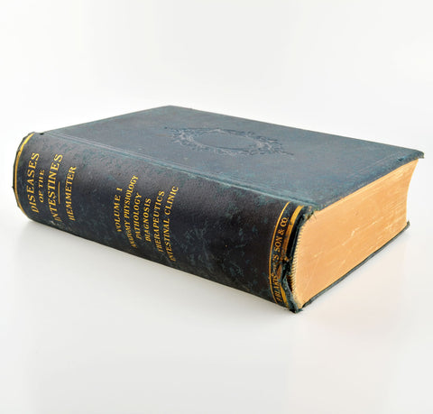 Diseases of the Intestines: Their Special Pathology by John Hemmeter - 1901