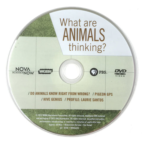 NOVA: What Are Animals Thinking? (DVD, Widescreen) - DISC ONLY