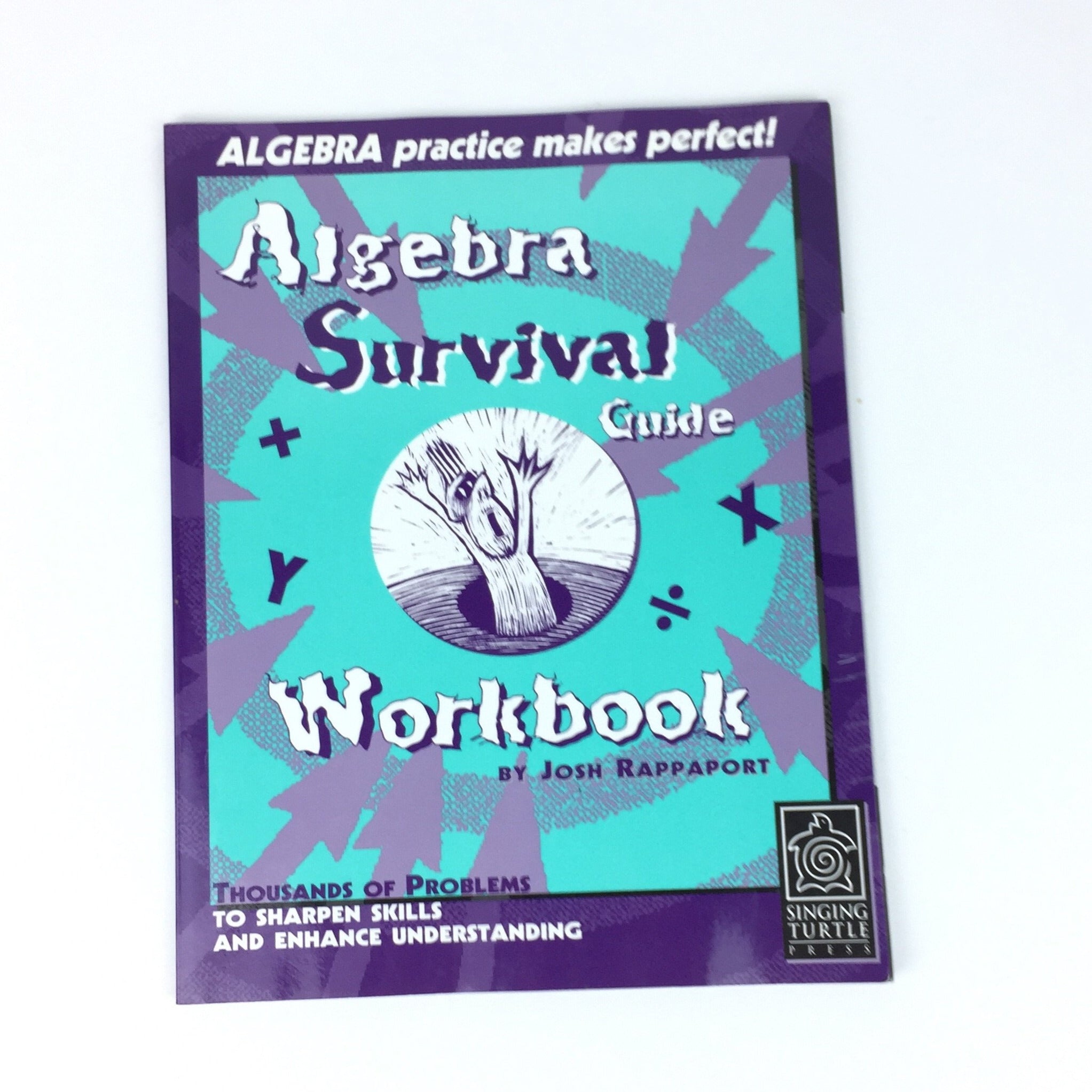 Algebra Survival Guide Workbook by Josh Rappaport